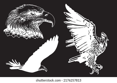 Vector set of eagles, eagle flying and portrait of eagle on black. Bald eagle, symbol of America