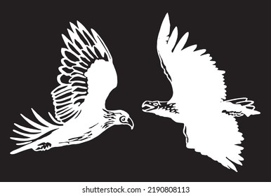 Vector set of eagles on black isolated ,graphical illustration,ornitology concept. Bald eagle as symbol of America