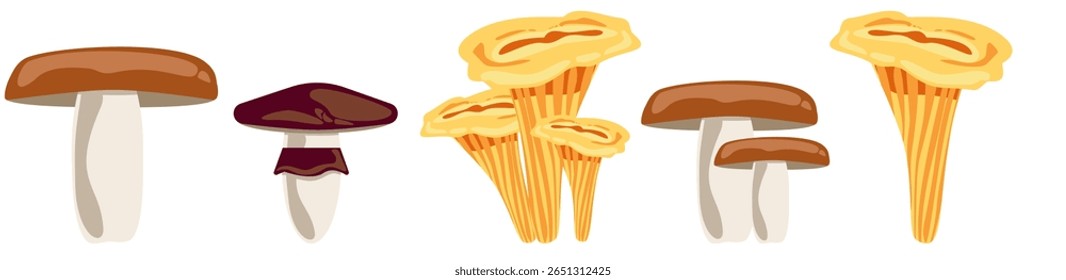 Vector set of edible forest mushrooms: suillus with a ring, flat-cap russula, and golden chanterelles. Ideal for autumn foraging themes, botanical illustration, or seasonal cooking design.