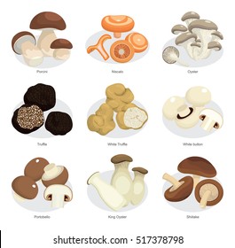 vector set of edible mushrooms