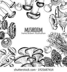 vector set edible mushrooms illustration drawn by hand, family of different mushrooms, graphic drawing with lines, cut truffle, porcini mushroom, shiitake and chanterelles isolated on white background