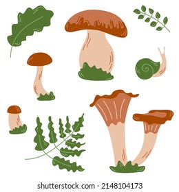 Vector set with edible mushrooms, leaves, snail. Autumn forest. Illustration in flat style.