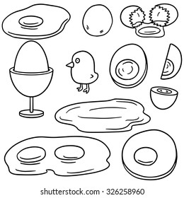 vector set of egg