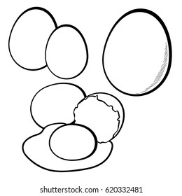 Vector set of egg in line art style. Sketch. Isolated on white background.