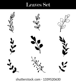 Vector set elements, collection of leaves, Hand drawn set of floral,  illustration Vector EPS.10