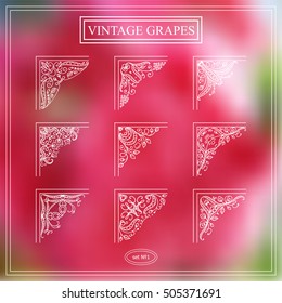 Vector set of elements for design. Square corners, frames. Beautiful ornate elements, vine and grapes. Vintage, hand drawing doodle style. New elements in each set, photo decor elements