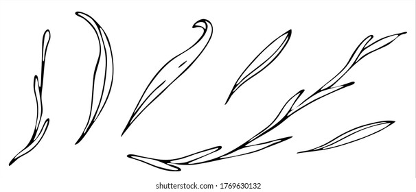 vector set of elements in doodle style, drawing, cute butterfly