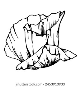 Vector set of elements with hand drawn peony poppy flowers. Isolated on white background. Botanical graphic illustration. Design for invitations, wedding, love or greeting cards, paper, print, textile