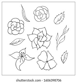 Vector set of elements with leaves, flowers. Isolated on a white background, black outline, doodle style, Scandinavian style, simple drawing. For design, creating cards, decoration