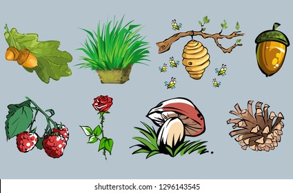 Vector set of elements of wild nature insects mushrooms acorns and plants