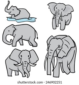 vector set of elephant