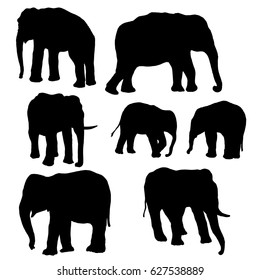 vector set of elephants silhouettes, hand drawn animals isolated at white background