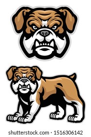 vector of set of english bulldog mascot