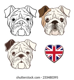 Vector set of  English bulldog's face and  heart flag UK. Hand-drawn vector illustration. Sketch,three variants.