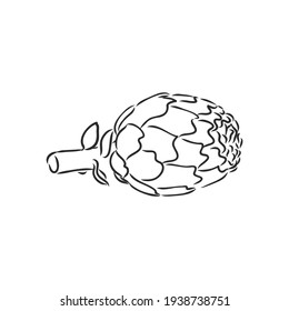 vector set of engraving illustration green vegetables artichoke on white background