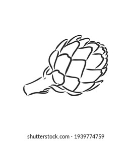 vector set of engraving illustration green vegetables artichoke on white background