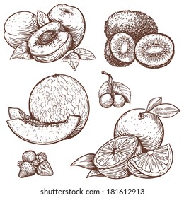 vector set of engraving illustration of sweet fruits and berries