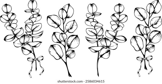Conjunto vetorial de galhos de eucalipto com arcos. Gráficos desenhados à mão de eucalipto. Coleção de delicada folha de eucalipto em estilo de linha. Folhas de eucalipto isoladas. Elementos de design botânico. Contorno