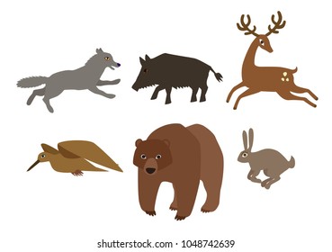 Vector set of european forest animals flat cartoon style isolated on white wolf boar deer woodcock bear rabbit bunny