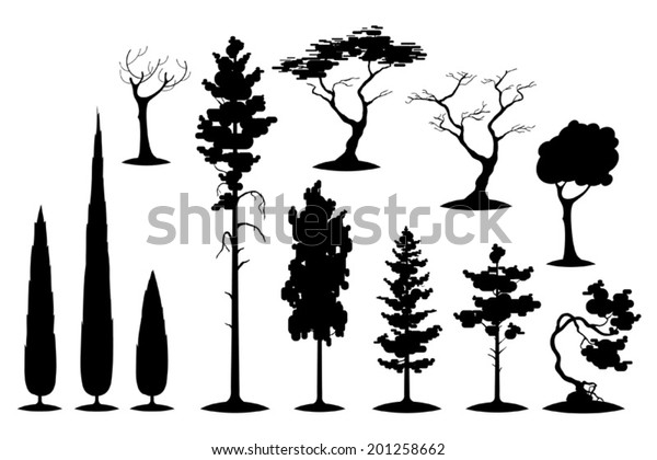 Vector Set Evergreens Various Trees Silhouettes Stock Vector (Royalty