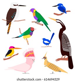 Vector set of exotic birds