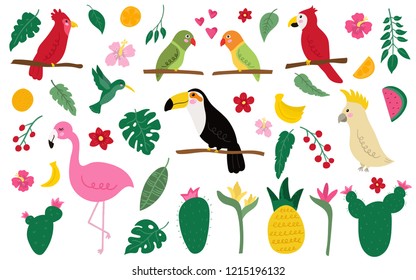 Vector set of exotic birds and elements. Hand drawn style flamingo, parrots, Cockatoo, Macaw, humming bird, toucan, tropical leaves, flowers and fruits. 