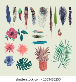 Vector set with exotic flowers, feathers, pineapple.