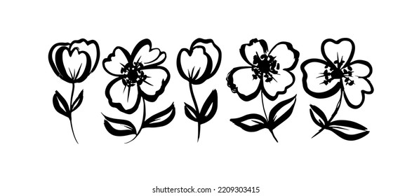 Vector set of exotic flowers. Ink drawing wild plants on stems with leaves. Brush drawn vector botanical elements in cartoon style. Anemones, peonies, chrysanthemums isolated on white cliparts.