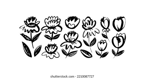 Vector set of exotic flowers. Ink drawing wild plants on stems with leaves. Brush drawn vector botanical elements in cartoon style. Anemones, peonies, chrysanthemums isolated on white cliparts.