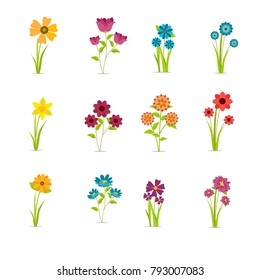 Vector Set of Exotic Flowers and Leaves