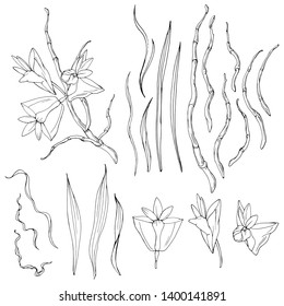 Vector set with exotic flowers of Papua New Guinea, leaves and branches. Hand drawn. Line art. Isolated on white elements for floral summer design.