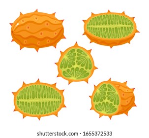 Vector set of exotic fruit kiwano isolated on white. Whole and half of fresh tropical melon used for poster, website, brochure, tag