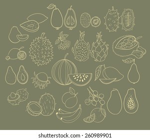 Vector set of exotic fruits. Vector illustration.