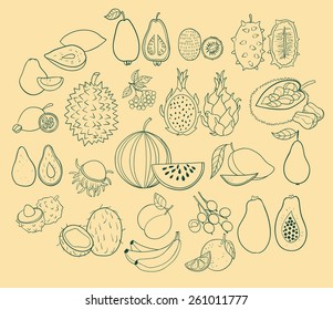 Vector set of exotic fruits. Vector illustration.