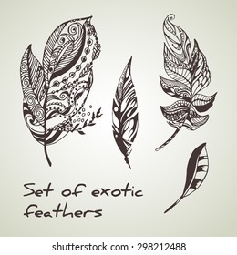 Vector set of exotic peerless decorative hand drawn black ink feathers