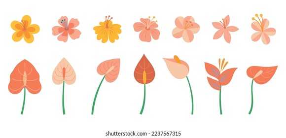Vector set of exotic tropical flowers isolated on white background. Includes hibiscus, anthurium and frangipani.