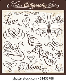 Vector set with exquisite calligraphic and ornamental designs. Great for wedding invitations and layout embellishment.
