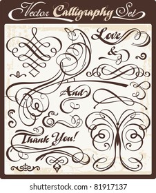 Vector set with exquisite calligraphic and ornamental designs. Great for wedding invitations and layout embellishment.