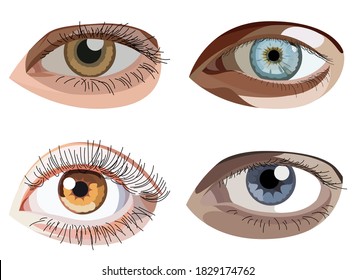 Conjunto vectorial de ojos en estilo gráfico