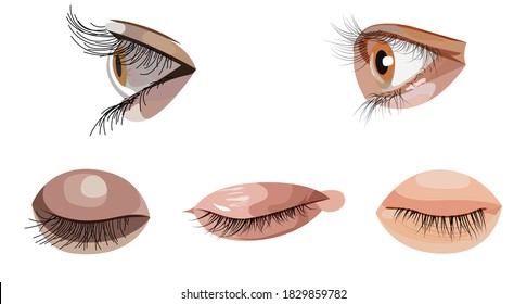Vector set of eyes in graphic style