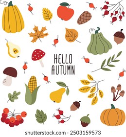 Vector set of fall elements. Autumn collection of hand drawn illustrations. Lettering hello autumn.