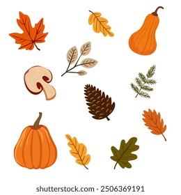 Vector set of fall elements. Autumn leaves, mushrooms, maple, spruce cone, oak, twigs, pumpkin Colorful fashion illustration. Autumn stickers. Flat design.