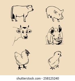 Vector set of farm animals hand sketched illustrations with pig, cow and chicken for meat products logo. Eco food sign.