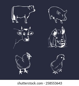 Vector set of farm animals hand sketched illustrations with pig, cow and chicken for meat farm products logo. Eco food sign.