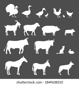 Vector Set of Farm Animals White Silhouettes. Collection of Rustic Pets
