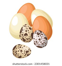 Vector set of farm eggs. The concept of cooking and fresh food. Chicken yolk and protein. A beautiful element for your design.