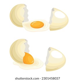 Vector set of farm eggs. The concept of cooking and fresh food. Chicken yolk and protein. A beautiful element for your design.