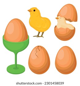Vector set of farm eggs. The concept of cooking and fresh food. Chicken yolk and protein. A beautiful element for your design.