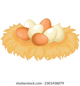 Vector set of farm eggs. The concept of cooking and fresh food. Chicken yolk and protein. A beautiful element for your design.