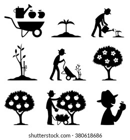 Vector set. Farmer and apple harvest
